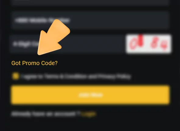 Promo code input at jeetwin